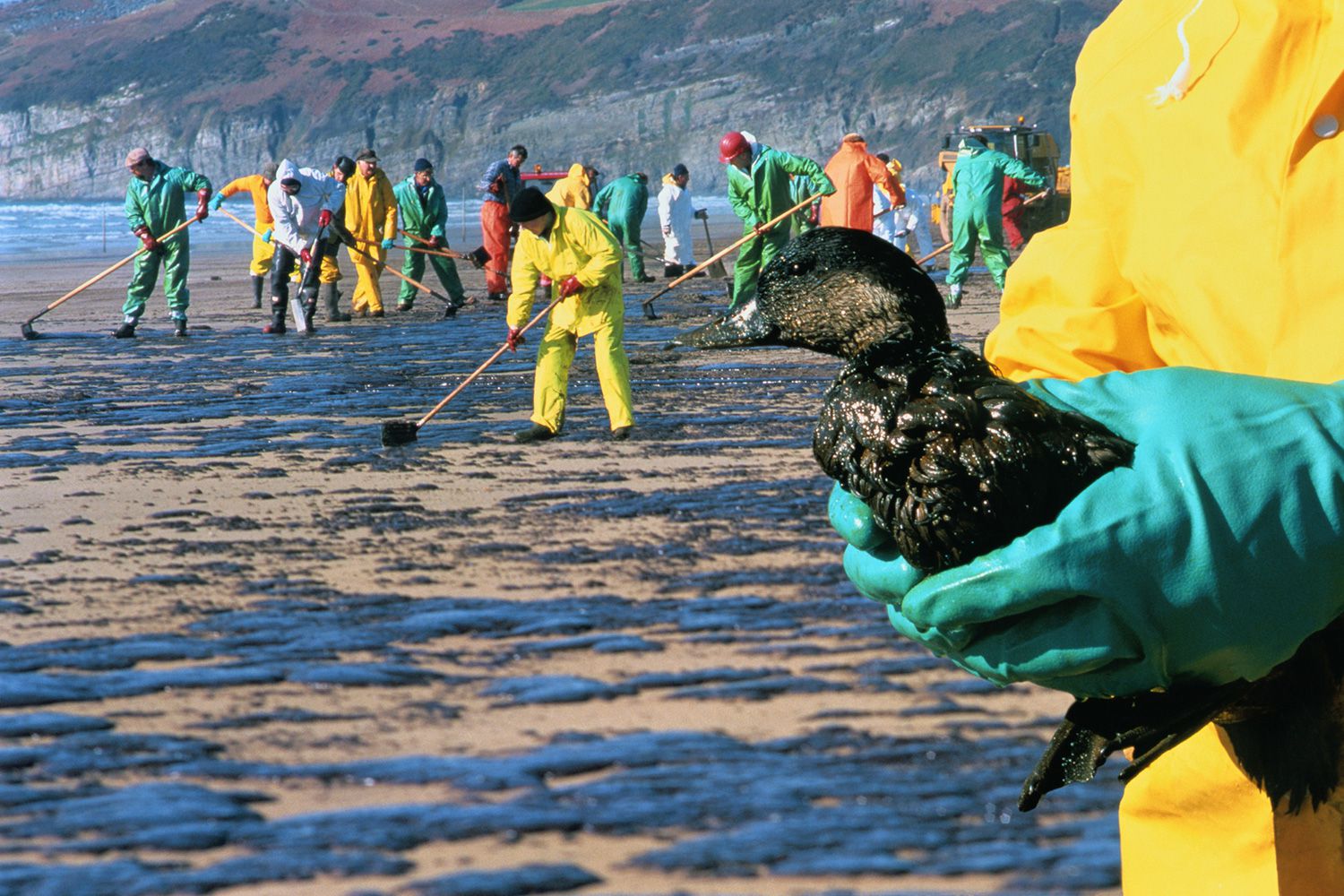 Oil-spill-58f0f7473df78cd3fc17bd42